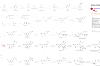 create professional and visually appealing biosynthesis pathway