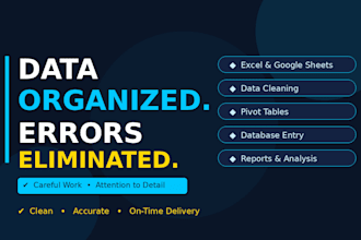 data entry, excel data cleaning, copy paste and formatting