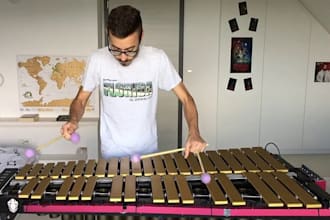 record professional glockenspiel, xylophone, vibraphone percussion no sheet