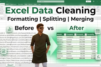 clean, split, format, merge excel data