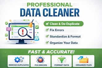 data cleaning, data formatting in excel
