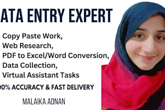 do professional data entry and virtual assistant tasts