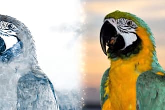 turn your photos into pencil art