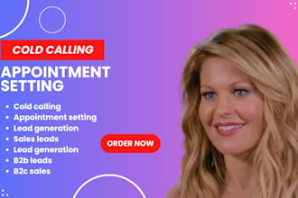 b2b b2c cold calling and set b2b b2c appointments