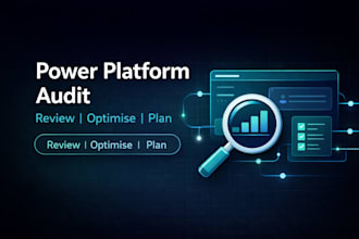 audit your power platform solution and deliver an improvement