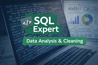 write sql queries, data analysis and data cleaning