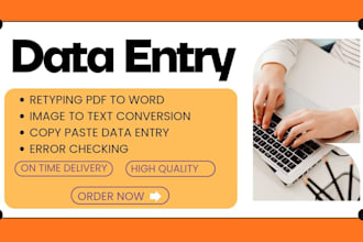 do accurate data entry and retyping from PDF to word