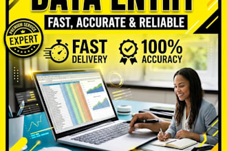 fast and accurate data entry, excel, copy paste, typing work