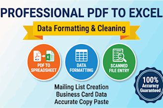 do professional PDF to excel, data formatting, and cleaning