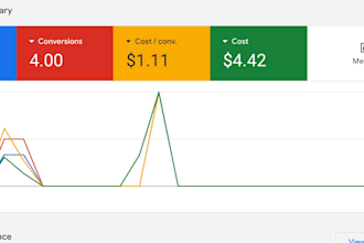 provide an ROI focused google ads audit and optimization