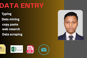 do fast data entry, data scraping, mining and excel work