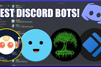 be professional custom discord bot developer in python or javascript