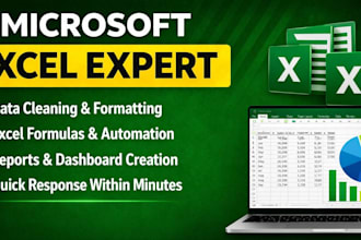 be your microsoft excel expert for data cleaning, formulas, and dashboard