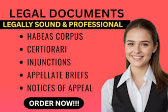 draft lawsuits, motions, appeals and petitions