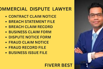handle fraud related issues, business disagreements, and contract breach claims