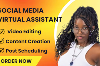 executive virtual assistant tiktok manager admin data entry research grow tiktok