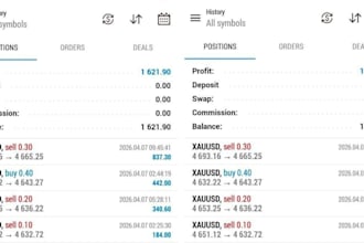 setup a profitable forex bot, forex robot, forex ea, automated forex trading bot