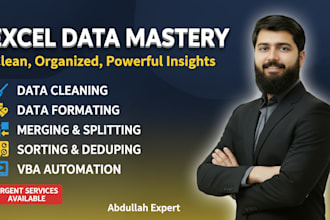 do excel data cleaning, data formatting, CSV and sheets cleanup within 24hours