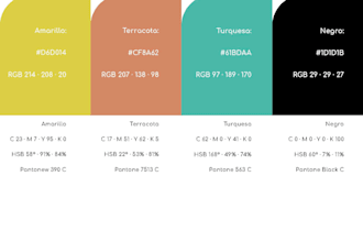 design a professional brand style guide and visual identity