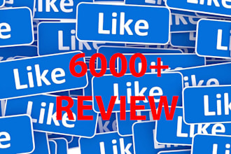 deliver 500 REAL facebook likes fans worldwide