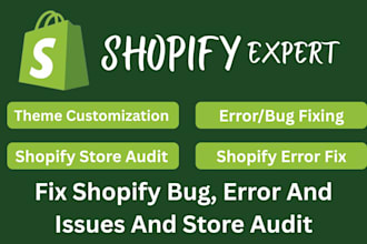 do shopify bug fix shopify error shopify issue store audits
