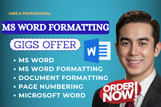 professionally format and redesign your word document
