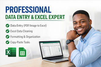 do professional data entry, microsoft excel data cleaning and formatting