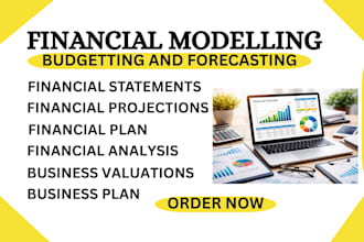 do financial modeling, budgeting, forecasting and business plans