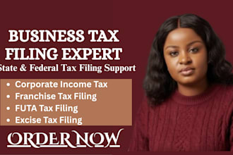 file state corporate income tax, franchise tax, futa and excise business taxes