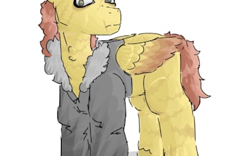 do my little pony oc drawings and human unless mentioned you will be ignored