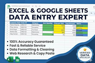 do professional data entry and copy paste work and google sheet