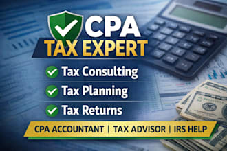 provide CPA tax preparation, filing and consulting