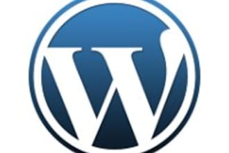 setup a theme and plugin ready wordpress site within 3 hours