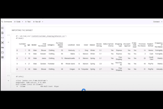 do data cleaning analysis and visualization