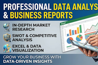 do professional data analysis and business reports