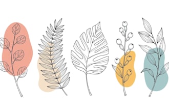 do minimal feminine floral boho hand drawn botanical vector line art illustratio