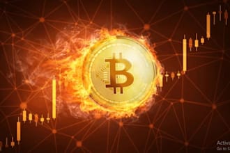 develop daily withdrawal bitcoin bot, btc app on your device