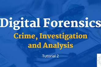 do mobile forensic analyst,detect financial fraud, fraud audit ,   wallet analys
