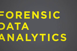 do online investigation, cyber forensics, ethical evidence analysis