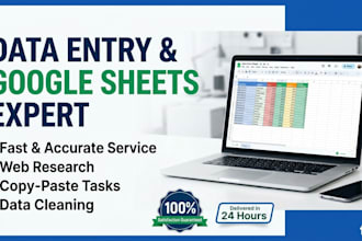 do professional data entry and google sheets work