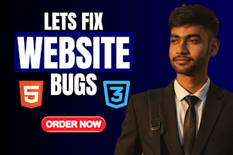 fix your website bugs and responsive design issues