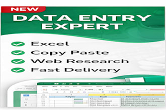 do data entry and copy paste work