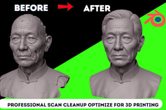 optimize 3d scan cleanup mesh repair 3d head bust stl watertight for 3d printing