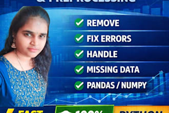 do professional data cleaning and preprocessing in python