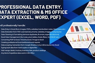 data extraction, data entry in ms office