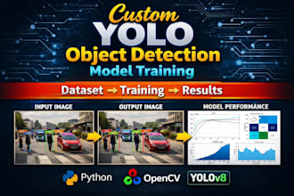 train a custom yolo object detection model for your images or video