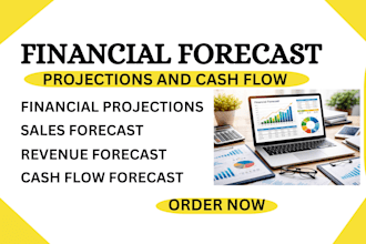 create financial forecast, cash flow and sales projections