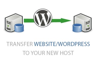 move, transfer your website to new host or domain