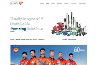 develop a custom website for your business needs