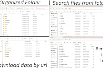 build a python automation tool to organize, rename and manage your files